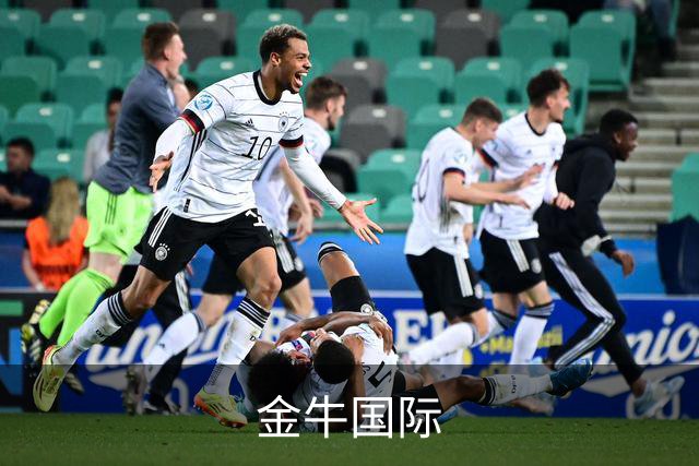 金牛国际公司简介